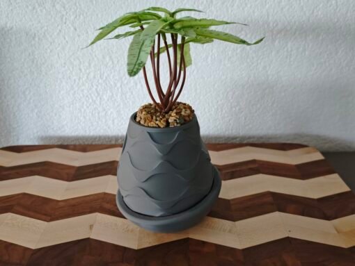 Blumentopf Harmony – Bild 6