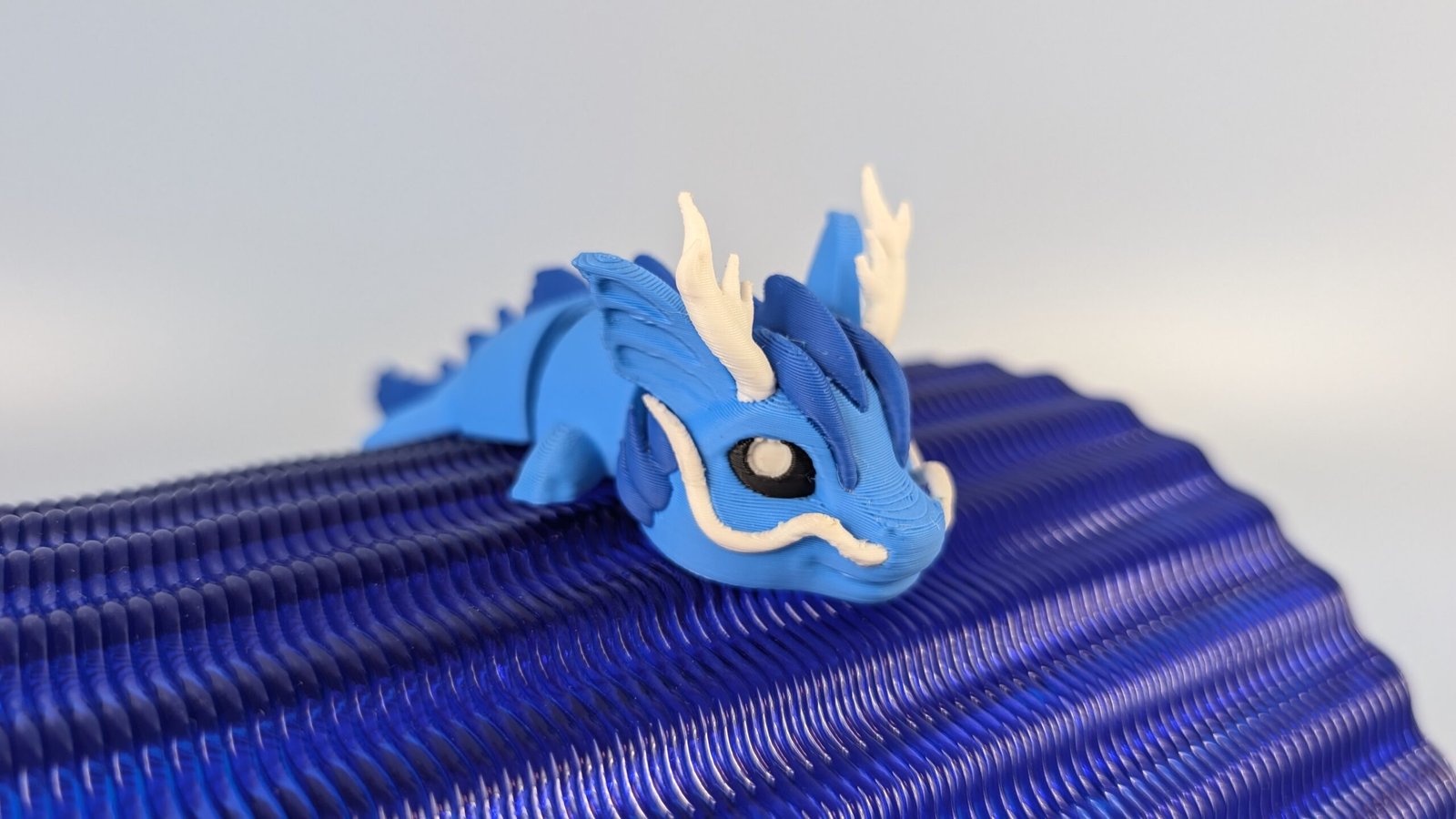 Meerdrache – Bild 3