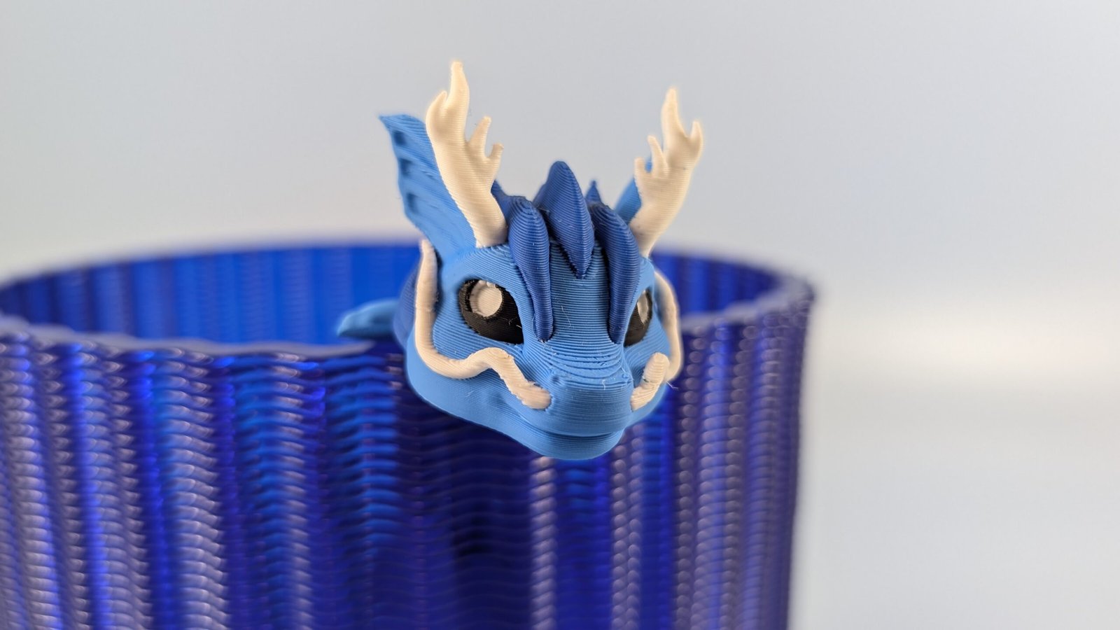 Meerdrache – Bild 2