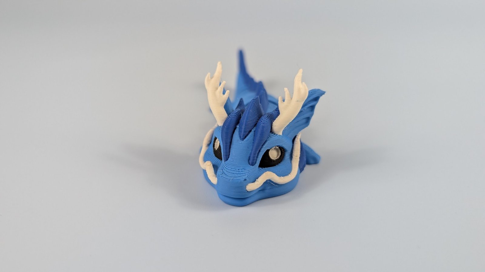 Meerdrache – Bild 4