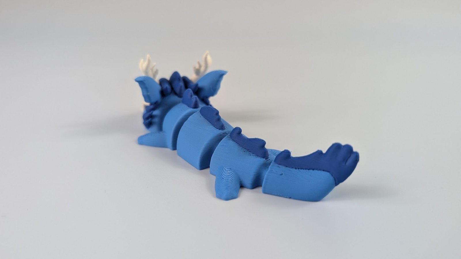 Meerdrache – Bild 5